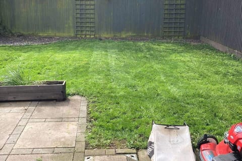 House | Property grounds