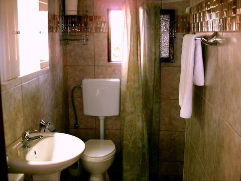 Standard Triple Room | Bathroom | Shower, hair dryer, towels, soap