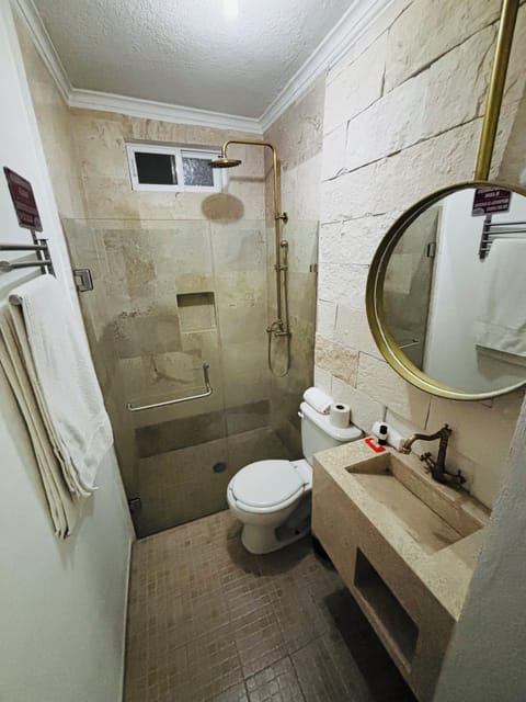 Deluxe Room | Bathroom | Shower, towels, soap, shampoo