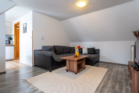 Apartment | Living room | DVD player