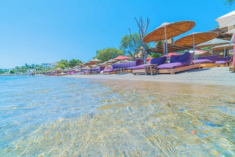 Private beach nearby, free beach shuttle