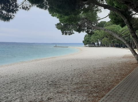 Apartment (One Bedroom Apartment with Balcony an) | Beach