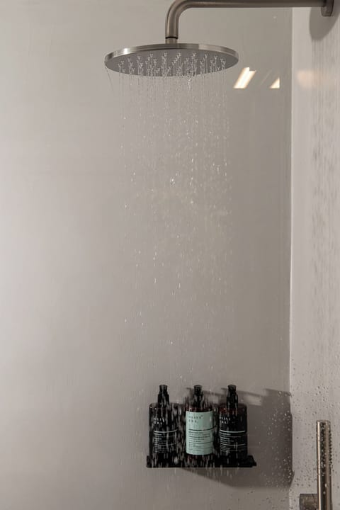 Premium Room with Jacuzzi | Bathroom | Shower, hair dryer, slippers, towels