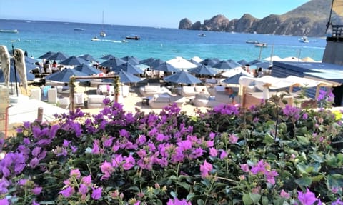 Private beach, white sand, beach cabanas, sun loungers