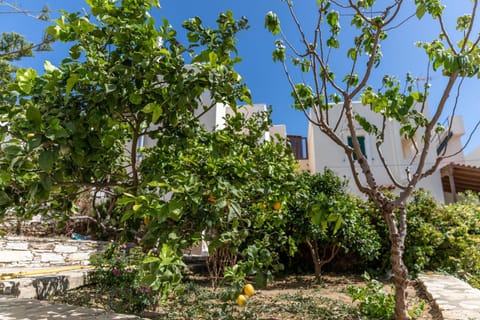 Apartment | 2 bedrooms, desk