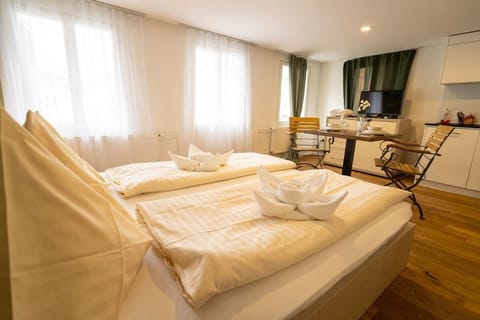 Standard Apartment | Private kitchen