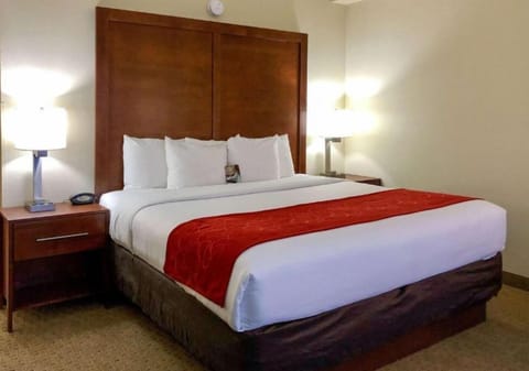 Blackout drapes, soundproofing, iron/ironing board, free WiFi