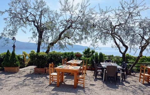 Dinner served, Italian cuisine