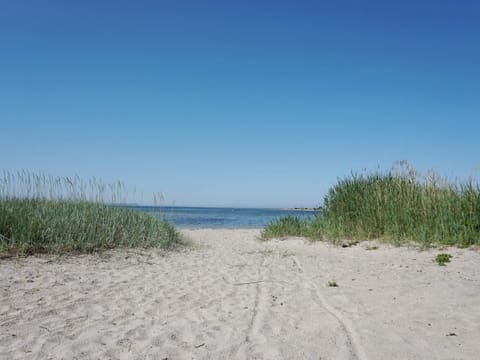 House | Beach