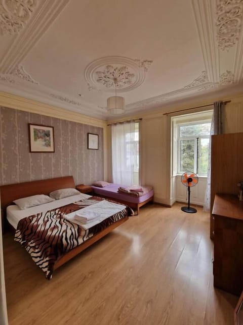 Basic Triple Room, Non Smoking, City View | Free WiFi, bed sheets