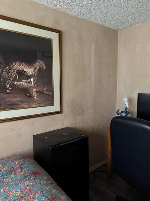 Comfort Room | Iron/ironing board, free WiFi