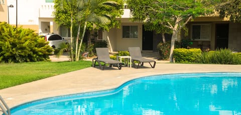 Outdoor pool, sun loungers