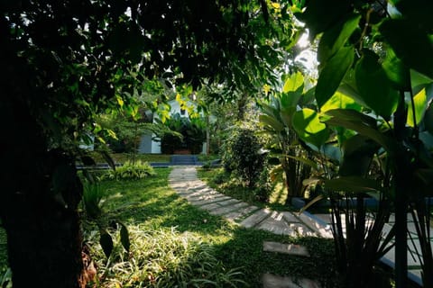 Garden view