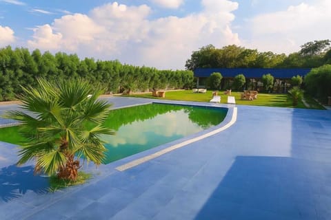 Land view from property