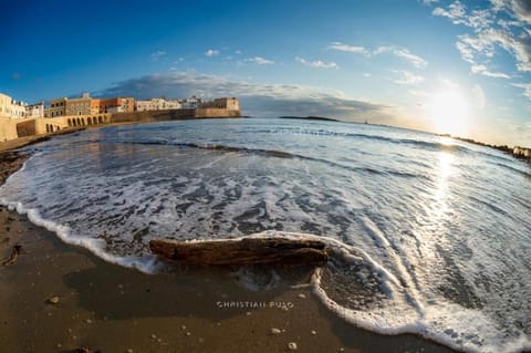 Beach/ocean view