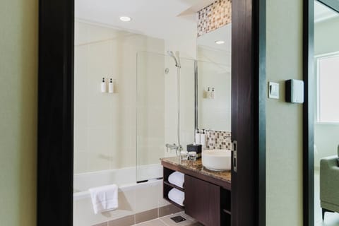 Hair dryer, bidet, towels, soap