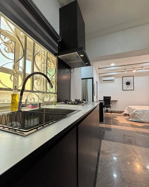Family Apartment, Balcony, City View | Private kitchen | Fridge, microwave, oven, stovetop