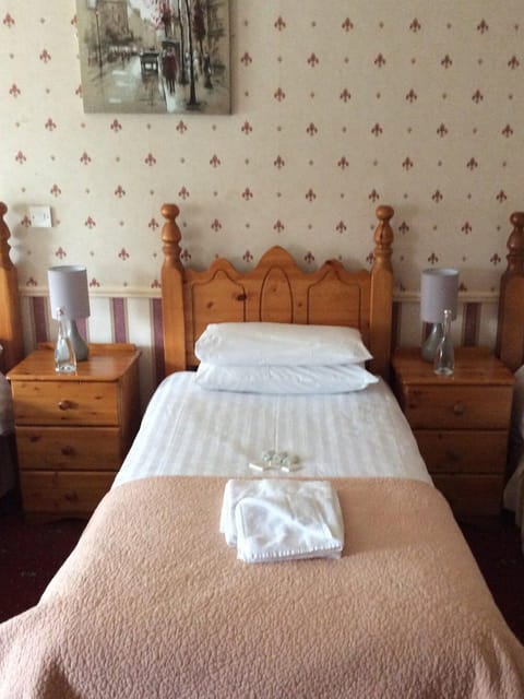 Basic Triple Room | Desk, blackout drapes, iron/ironing board