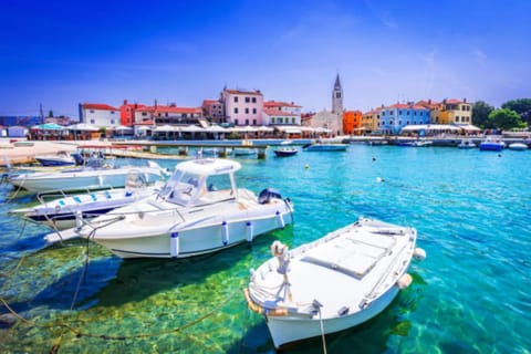 Apartment, 1 Bedroom, Smoking, Terrace | Marina
