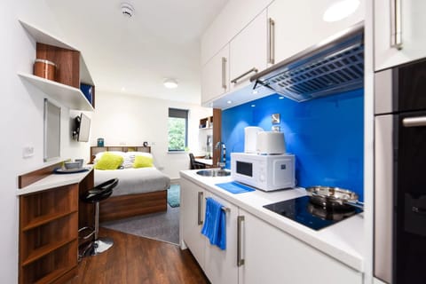 Studio, 1 Double Bed, Non Smoking | Private kitchen