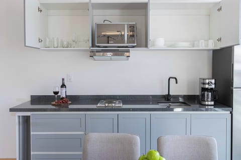 Comfort Apartment, 1 Bedroom, Balcony, City View | Private kitchen