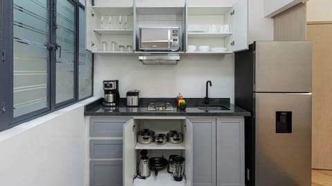 Superior Apartment, 2 Bedrooms, Kitchen, City View | Private kitchen