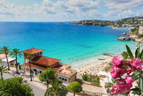 Beach nearby, free beach shuttle, sun loungers, beach umbrellas