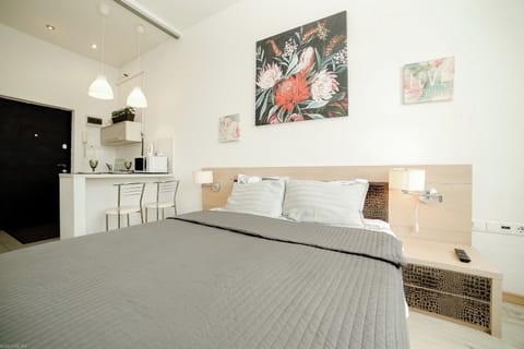 1 bedroom, iron/ironing board, WiFi (free)
