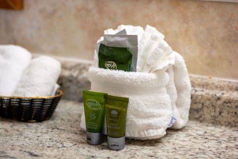 Combined shower/tub, free toiletries, hair dryer, towels