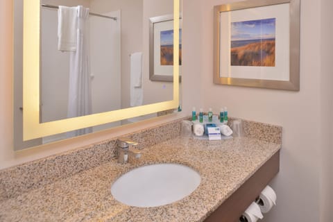 Suite, 1 King Bed, Accessible (Comm, Tub) | Hypo-allergenic bedding, desk, blackout drapes, iron/ironing board