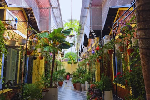 Courtyard