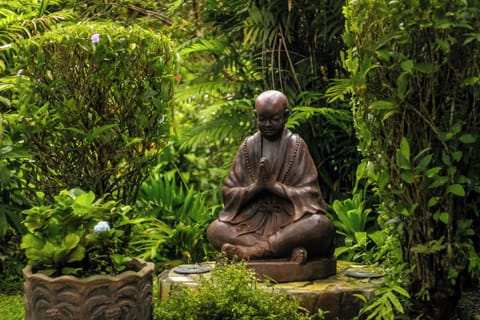 Aromatherapy, hot stone massages, facials, 1 treatment room