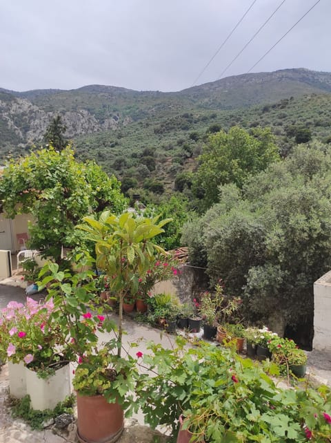 House | 2 bedrooms, desk