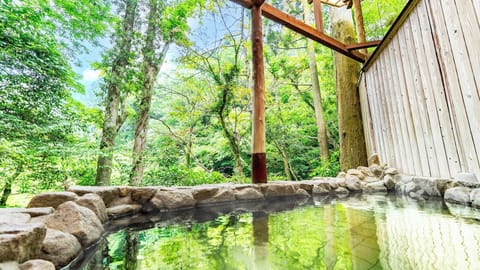 Hot springs