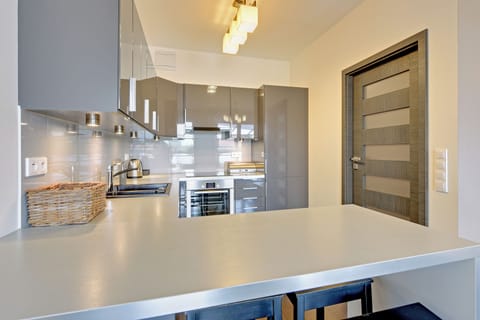 Deluxe Apartment | Private kitchenette | Coffee/tea maker, electric kettle, highchair, griddle