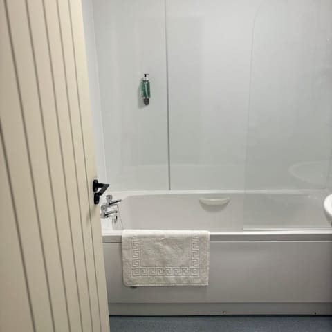 Hair dryer, towels, soap, shampoo