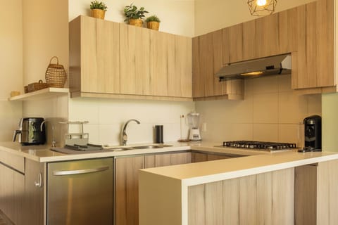 Deluxe House, Patio, Garden View | Private kitchen