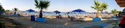 Scuba diving, water skiing, windsurfing, motor boating