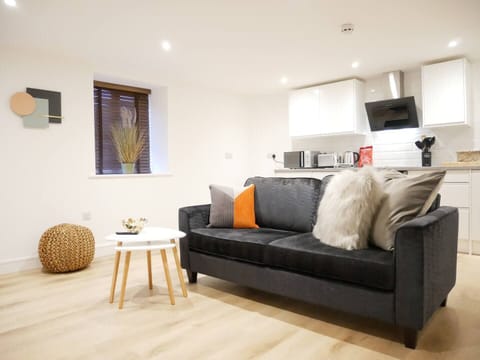 Classic Apartment, City View | Laptop workspace, iron/ironing board, free WiFi