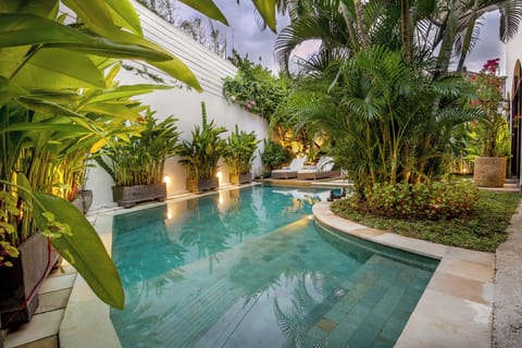 Outdoor pool, sun loungers