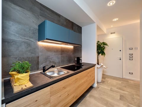 Apartment, 2 Bedrooms, City View | Private kitchen | Full-size fridge, microwave, stovetop, dishwasher