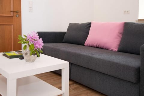 Comfort Apartment, Private Bathroom | Lounge