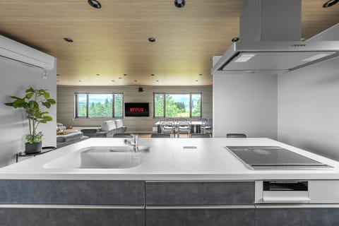 Fridge, microwave, stovetop, electric kettle