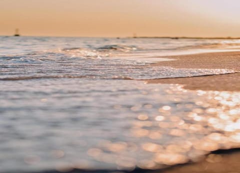 Apartment | View from property