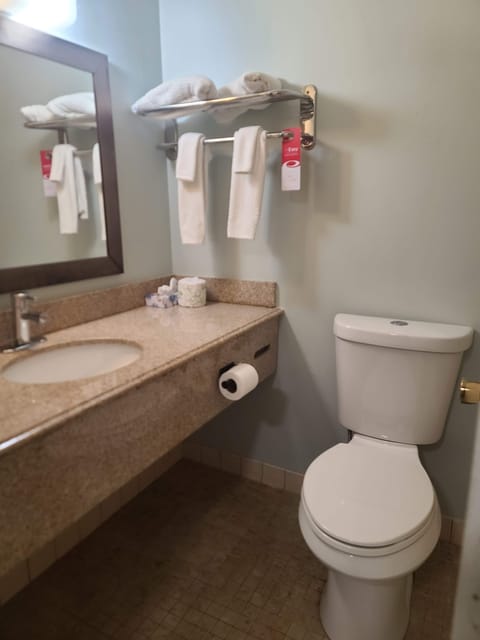 Single Room | Bathroom | Free toiletries, hair dryer, towels, soap