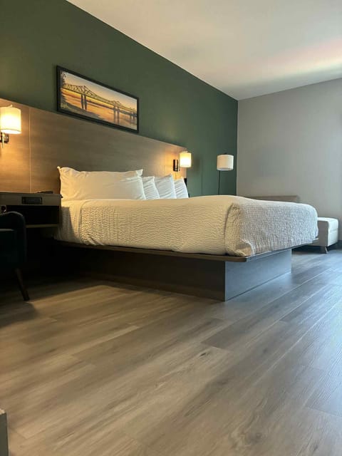 Room, 1 King Bed, Non Smoking | Blackout drapes, soundproofing, iron/ironing board, free WiFi