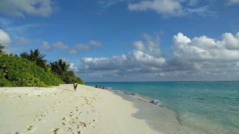 Beach nearby, white sand