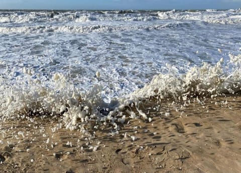 Apartment | View from property