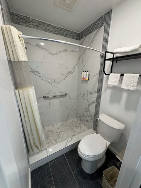 Deluxe Single Room, Non Smoking | Bathroom | Towels, soap, shampoo, toilet paper