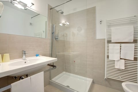 Hair dryer, bidet, towels, soap